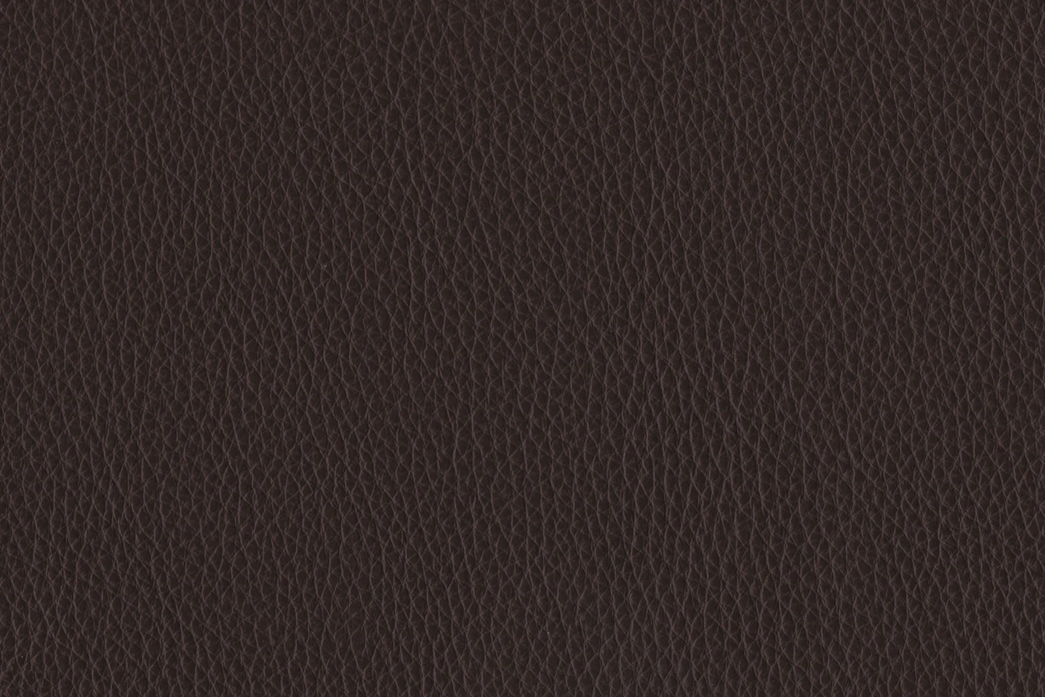 Naples Chair - Chocolate - Image 4