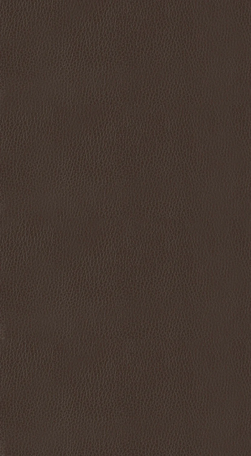 Ordway Bar Stool - Brown - Image 4