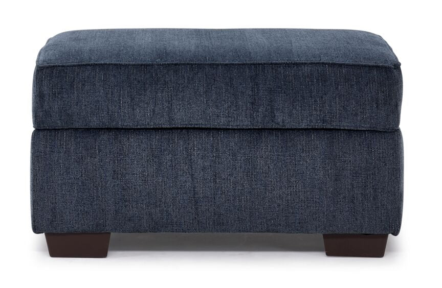 Renzo Storage Ottoman - Skylight - Image 2