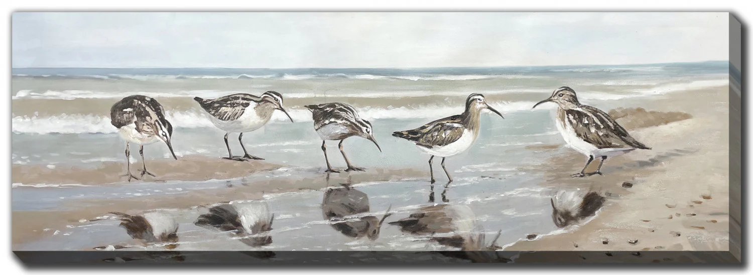Shorebirds Wall Art - Brown/Beige - 20 X 60