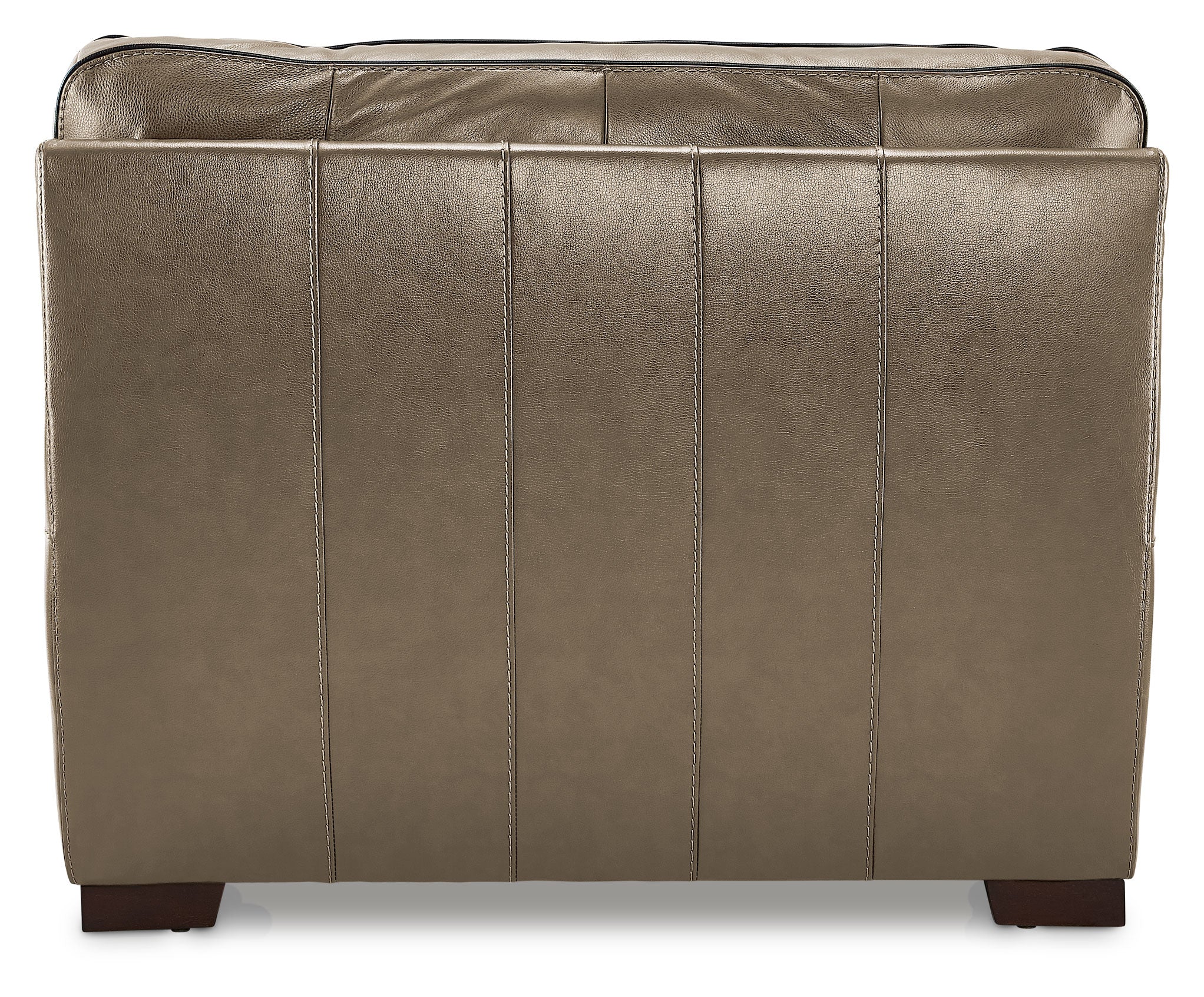 Stampede Leather Chair - Buff - Image 5