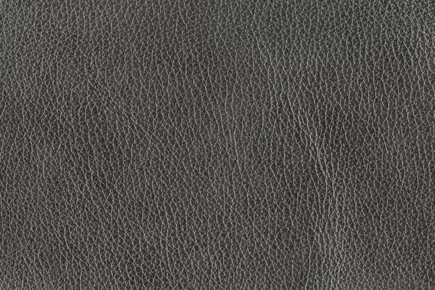 Stampede Leather Sofa - Charcoal - Image 6