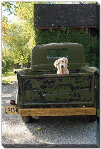 Tailgate Traveler Wall Art - Green - 16 X 20