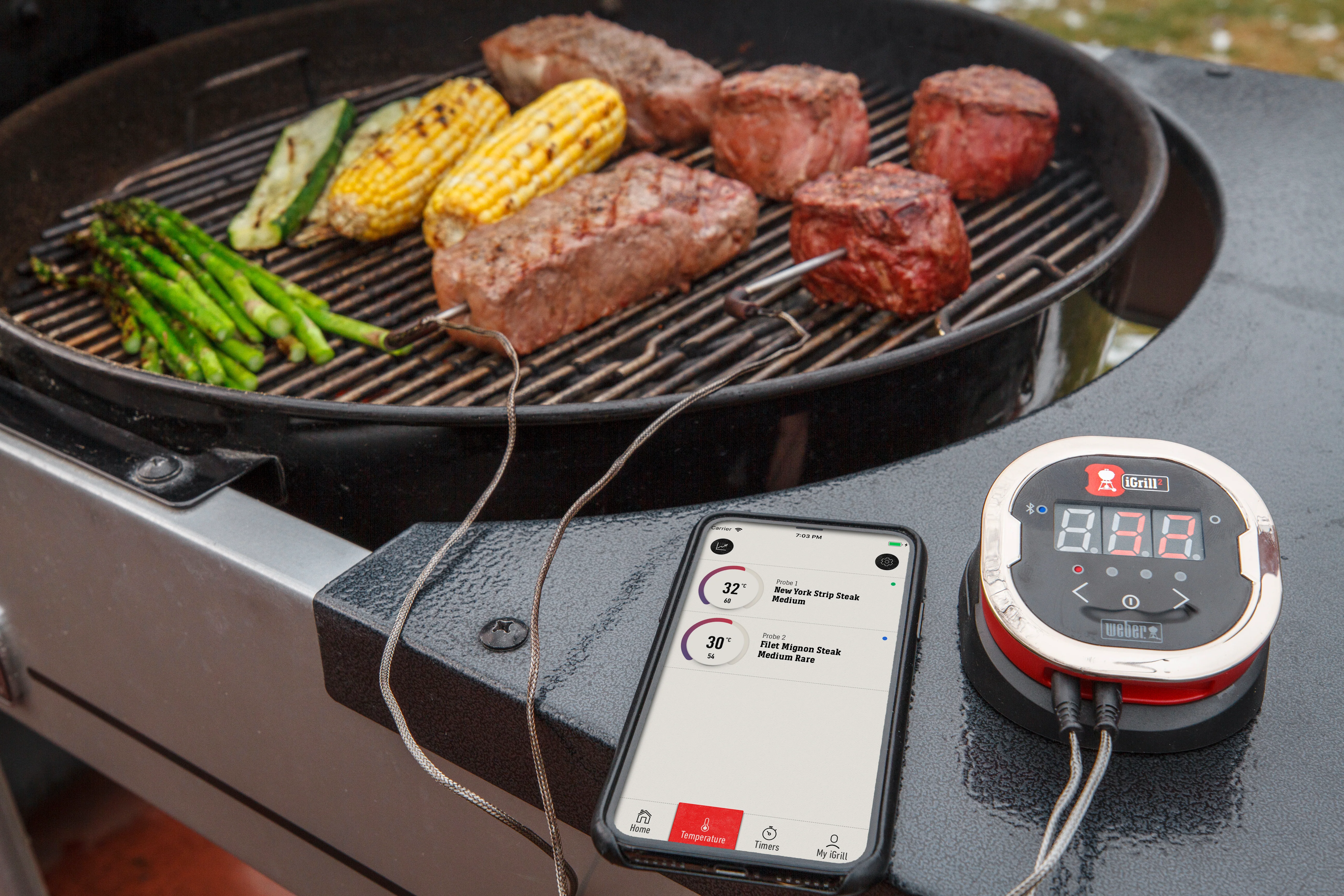 Weber iGRILL 2 - 7203 - Image 4