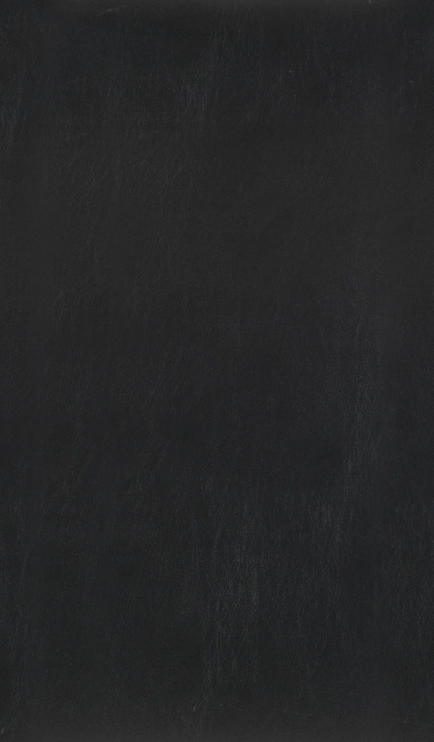 Westby Dining Stool - Black - Set of Two - Image 3