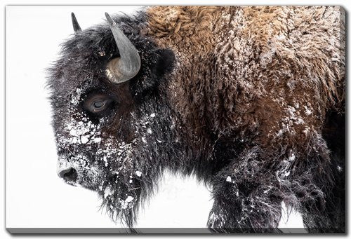 Winter Coat Wall Art - Brown - 16 X 20